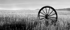 Wagon Wheel - AHE